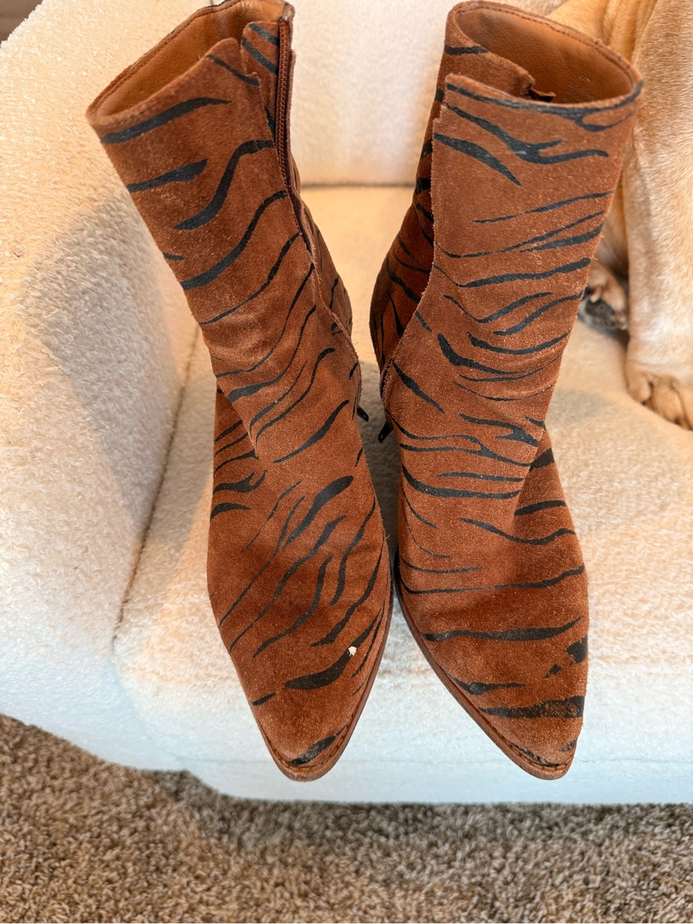 Matisse Brown Suede Zebra-Print Pointed Toe Ankle Booties